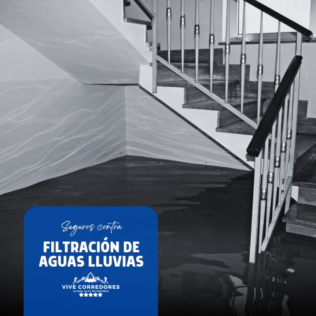 Vive Corredores de seguros - Filtración de Aguas Lluvias